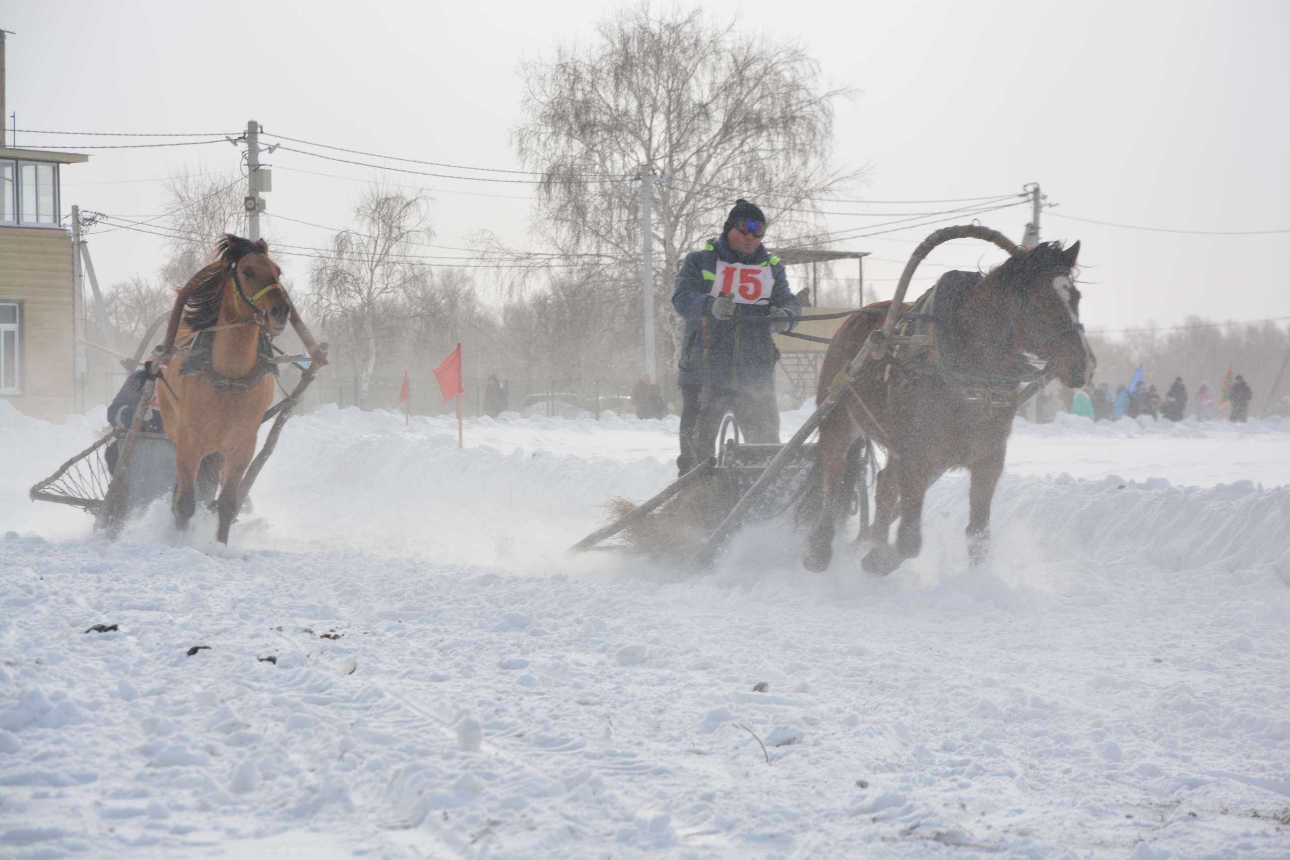 Сегодняшние «Зимние игры» выявили героев конного спорта