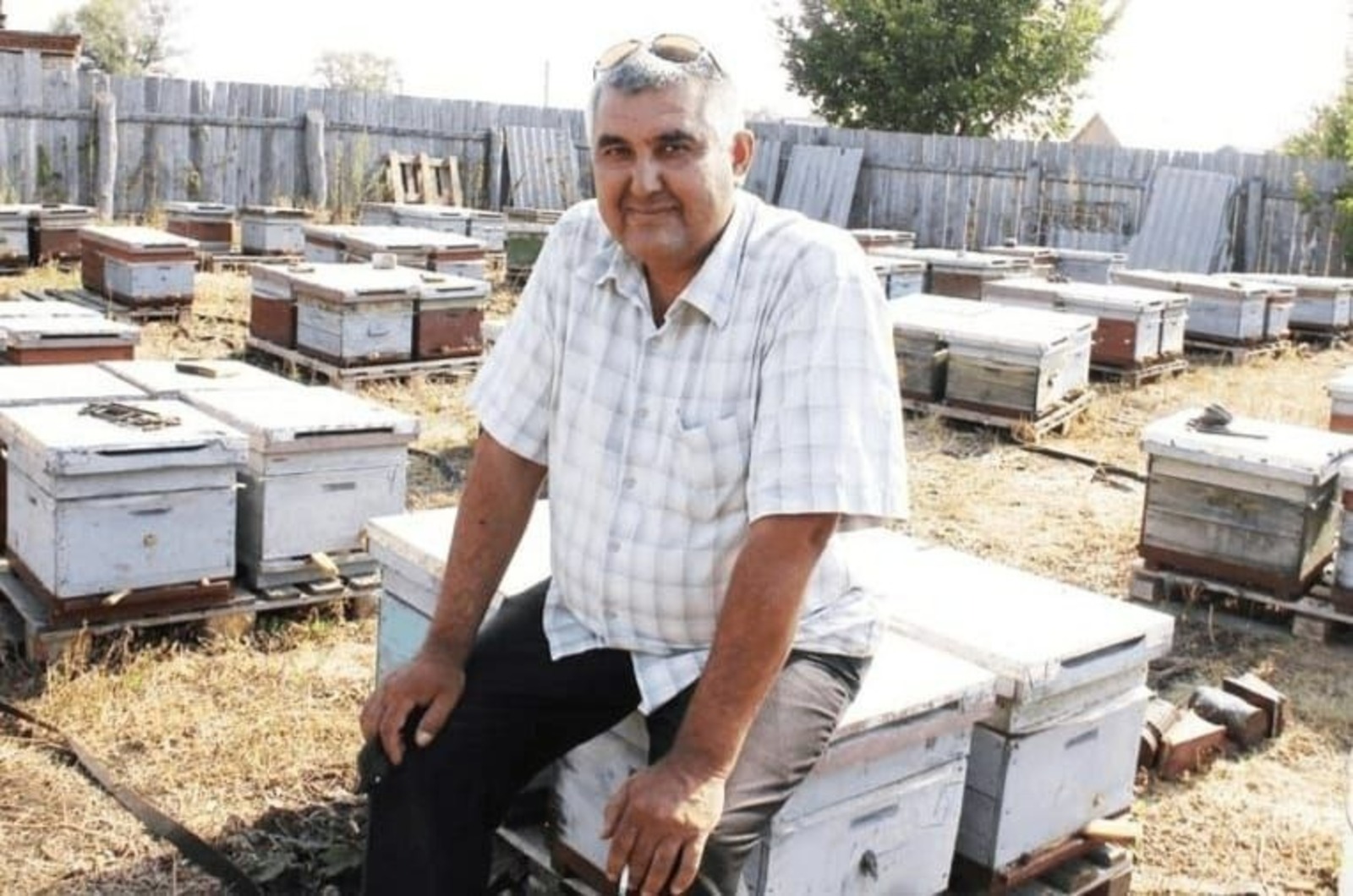 Радий Хабиров рассказал об отправке из Башкирии в зону СВО более тонны мёда