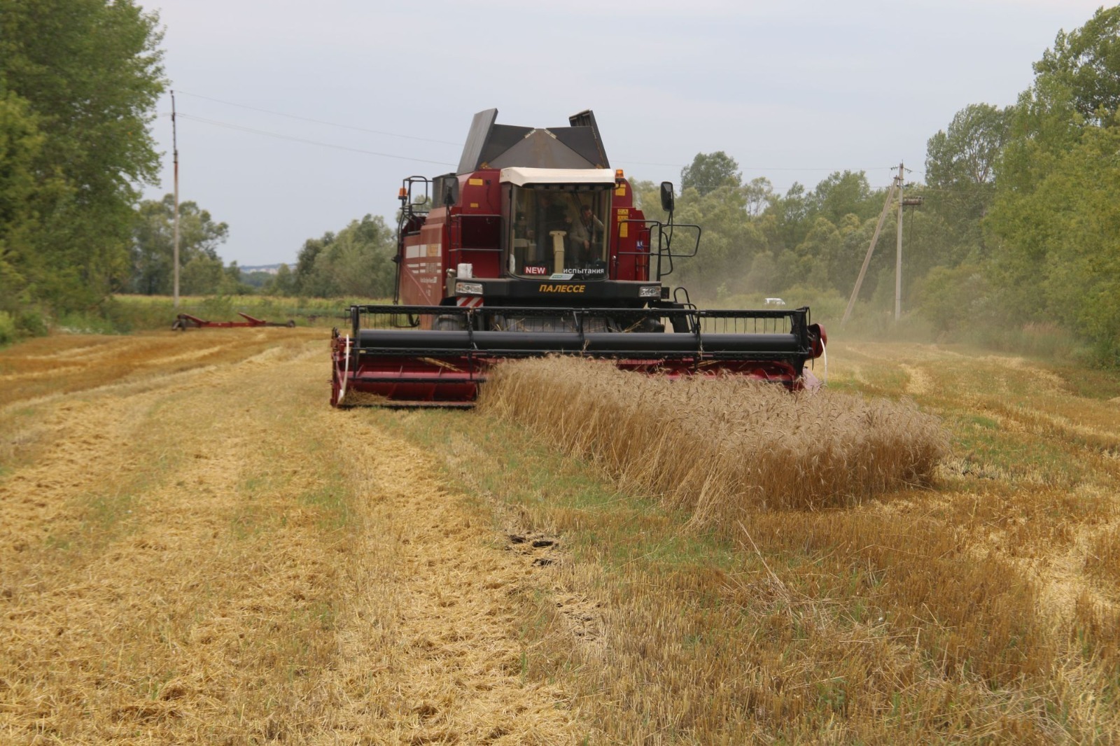 В Башкирии выросло производство в фермерских хозяйствах
