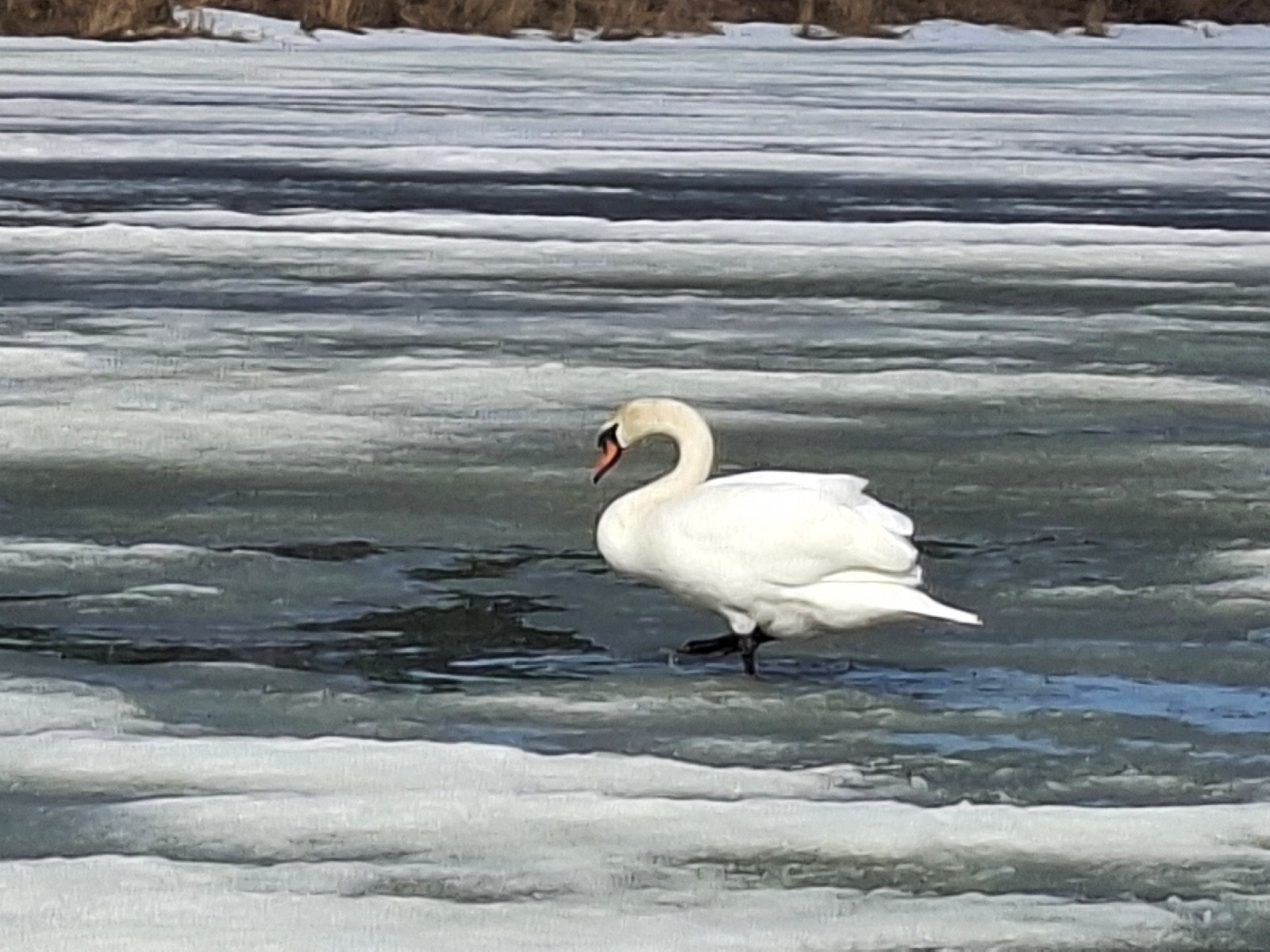 На озере Кандры-Куль в Башкирии увидели невероятную картину