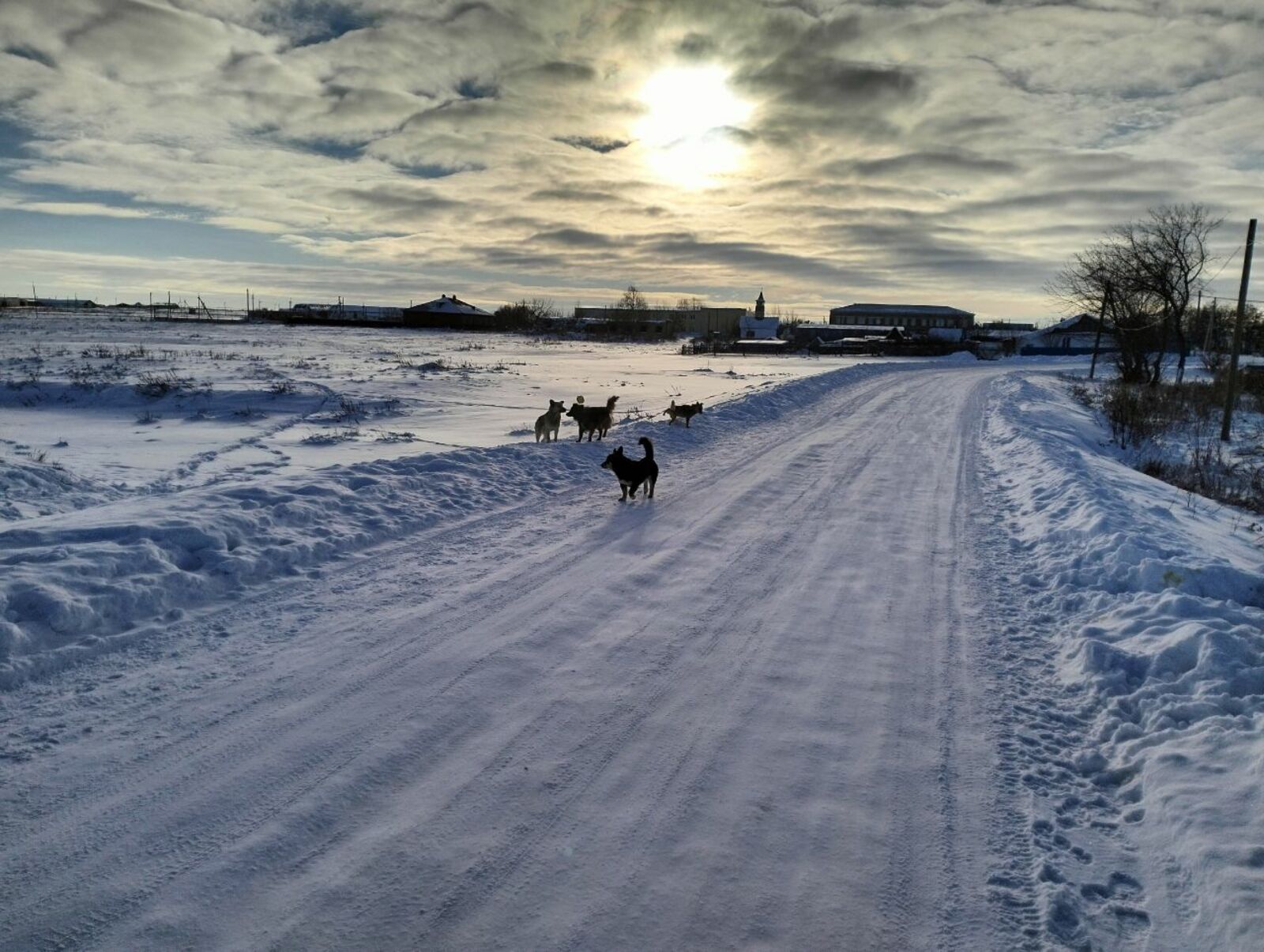 Записки из сельсовета: как это было и как это есть