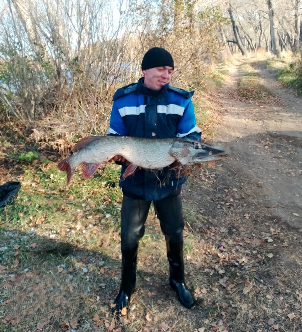 Ильнур Абдуллин – лучший в трёх профессиях