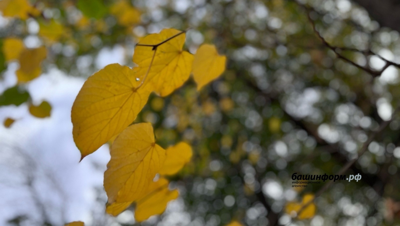 Стало известно, когда в Башкирии изменится погода