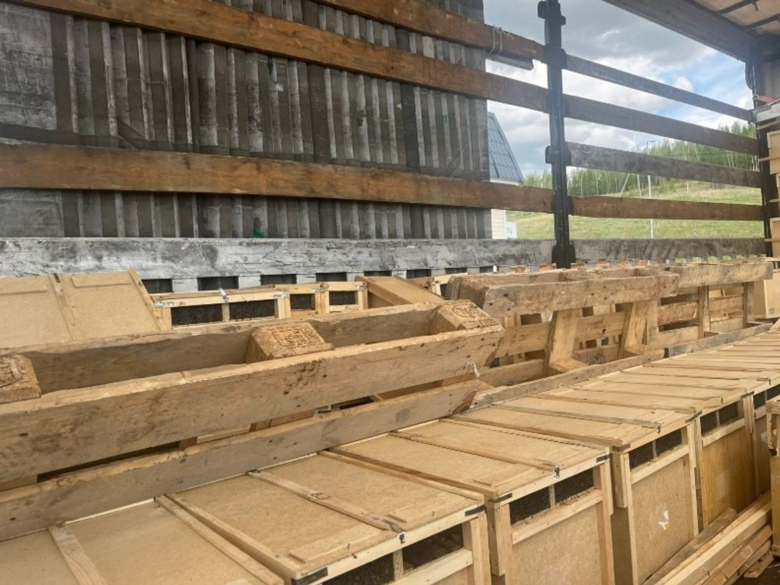 Россельхознадзор ограничил ввоз пчел из Узбекистана