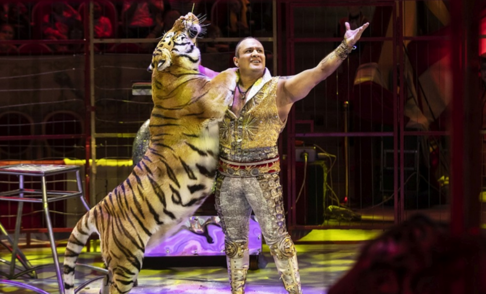 Ученики Акъярской школы №3 побывали в цирке