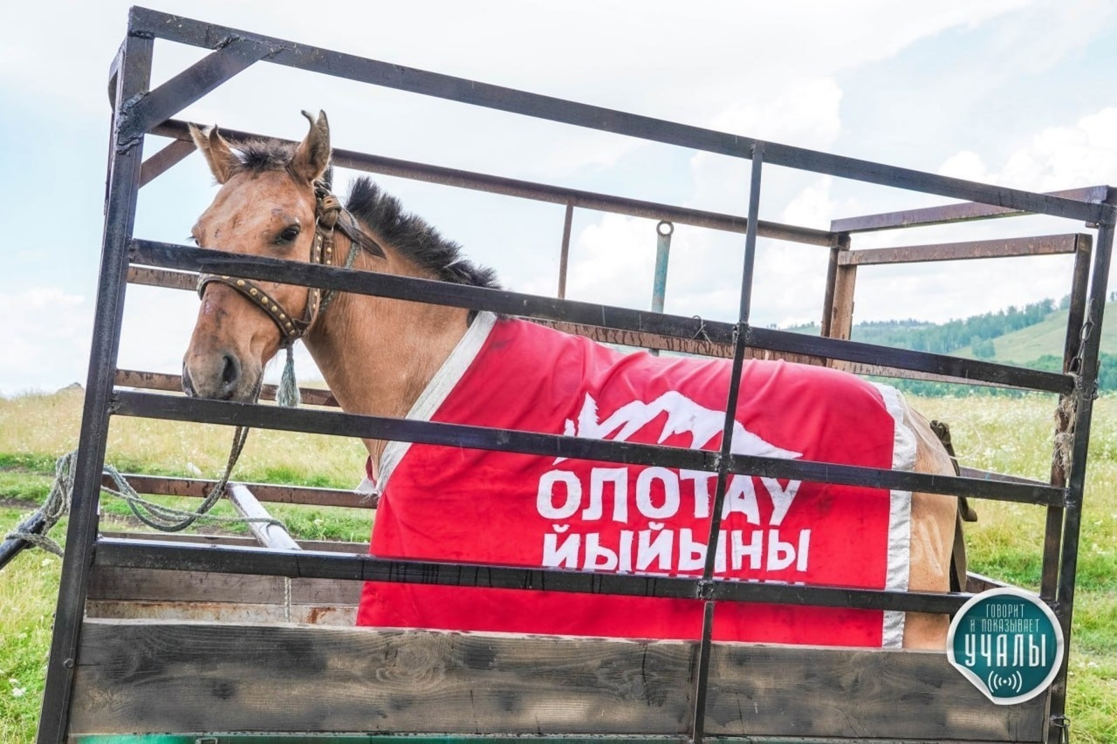 РФС покажет россиянам фильм о фестивале футбола Башкирии