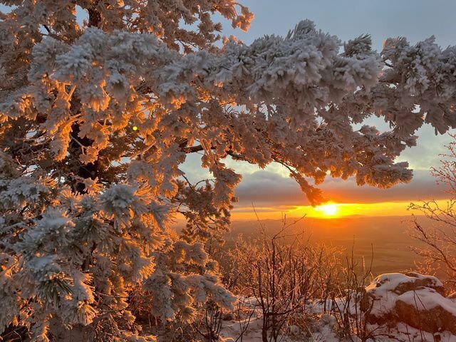 В фотоконкурсе от молодёжки и профсоюза «Башмеди» приняло участие 23 работника