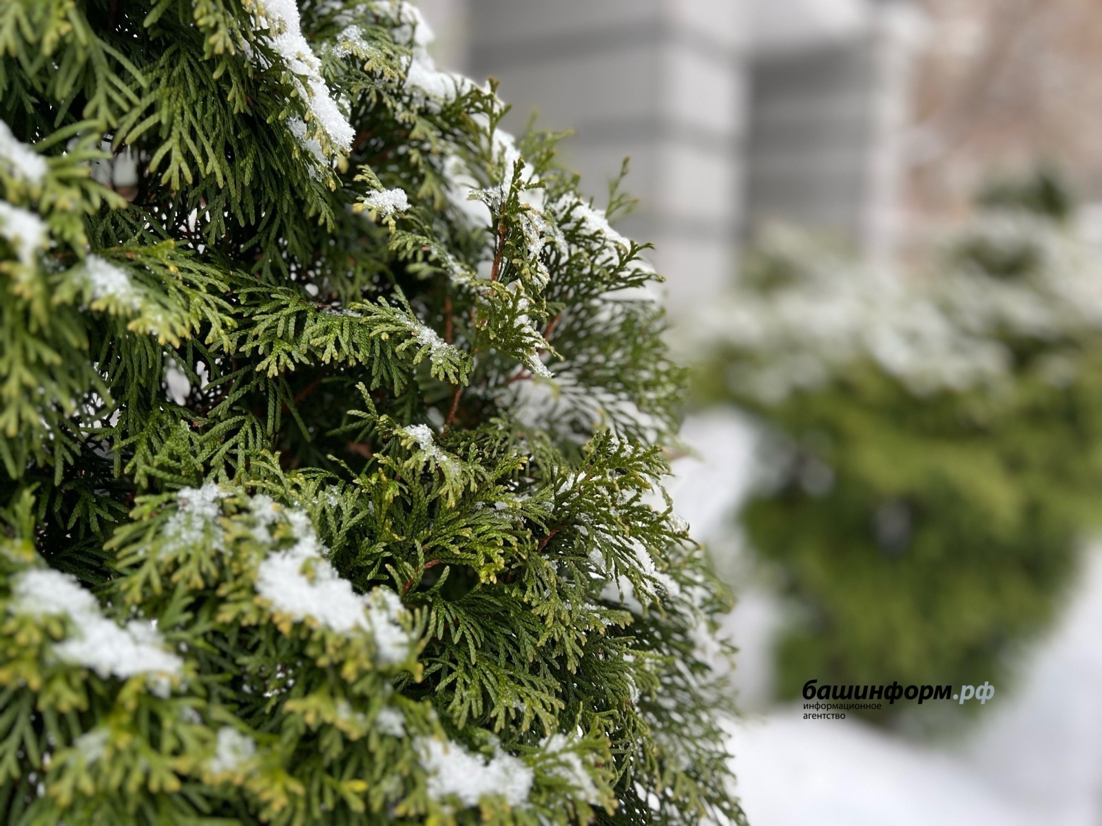 В Башкирии похолодает до -22°