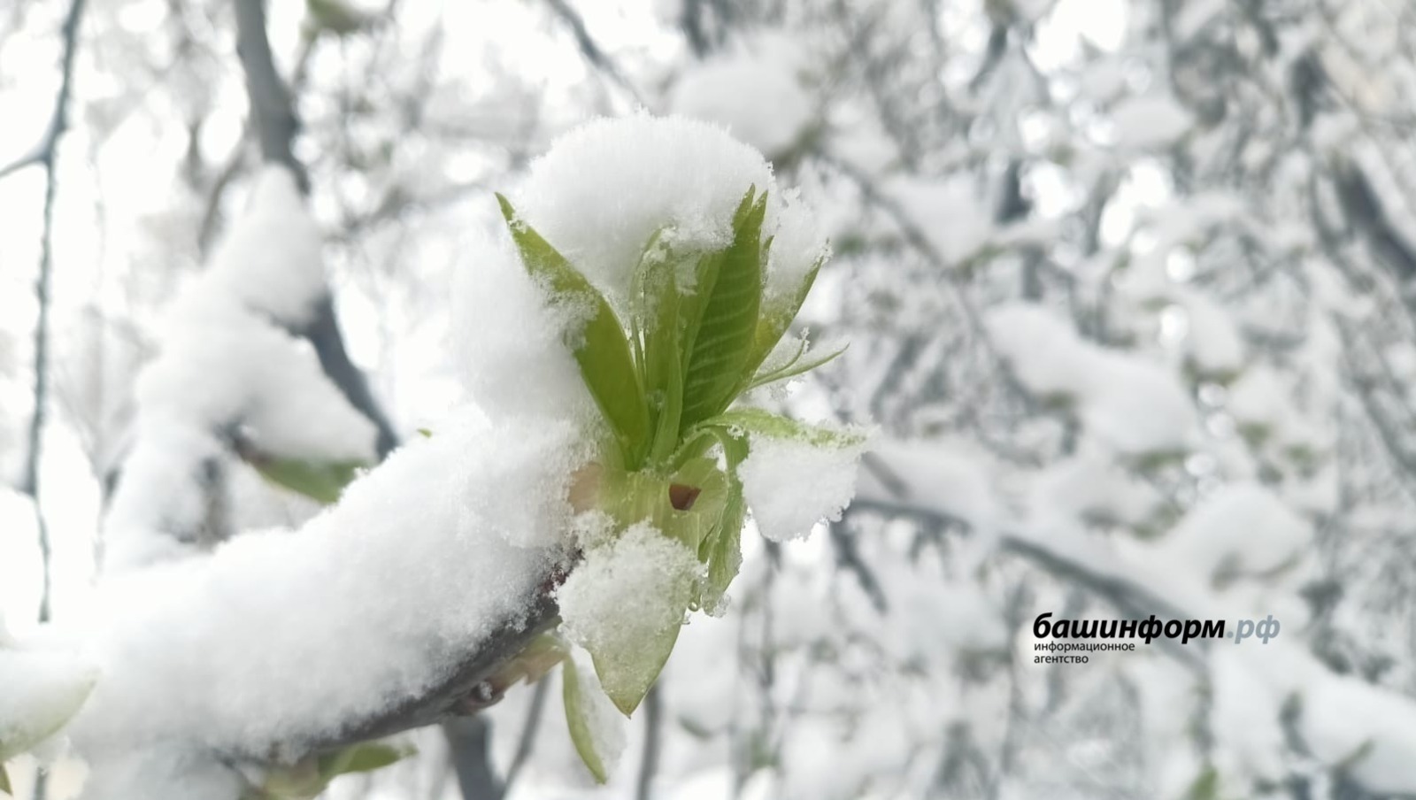 Гадаем по погоде в Башкирии: есть ли доля правды в народных приметах