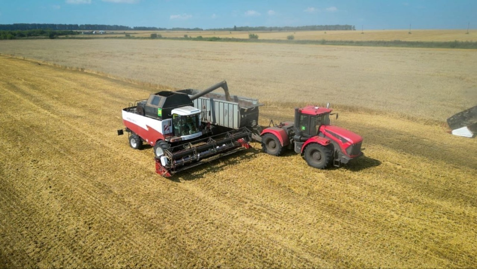 Фермеров Башкортостана научат продавать продукцию на маркетплейсах