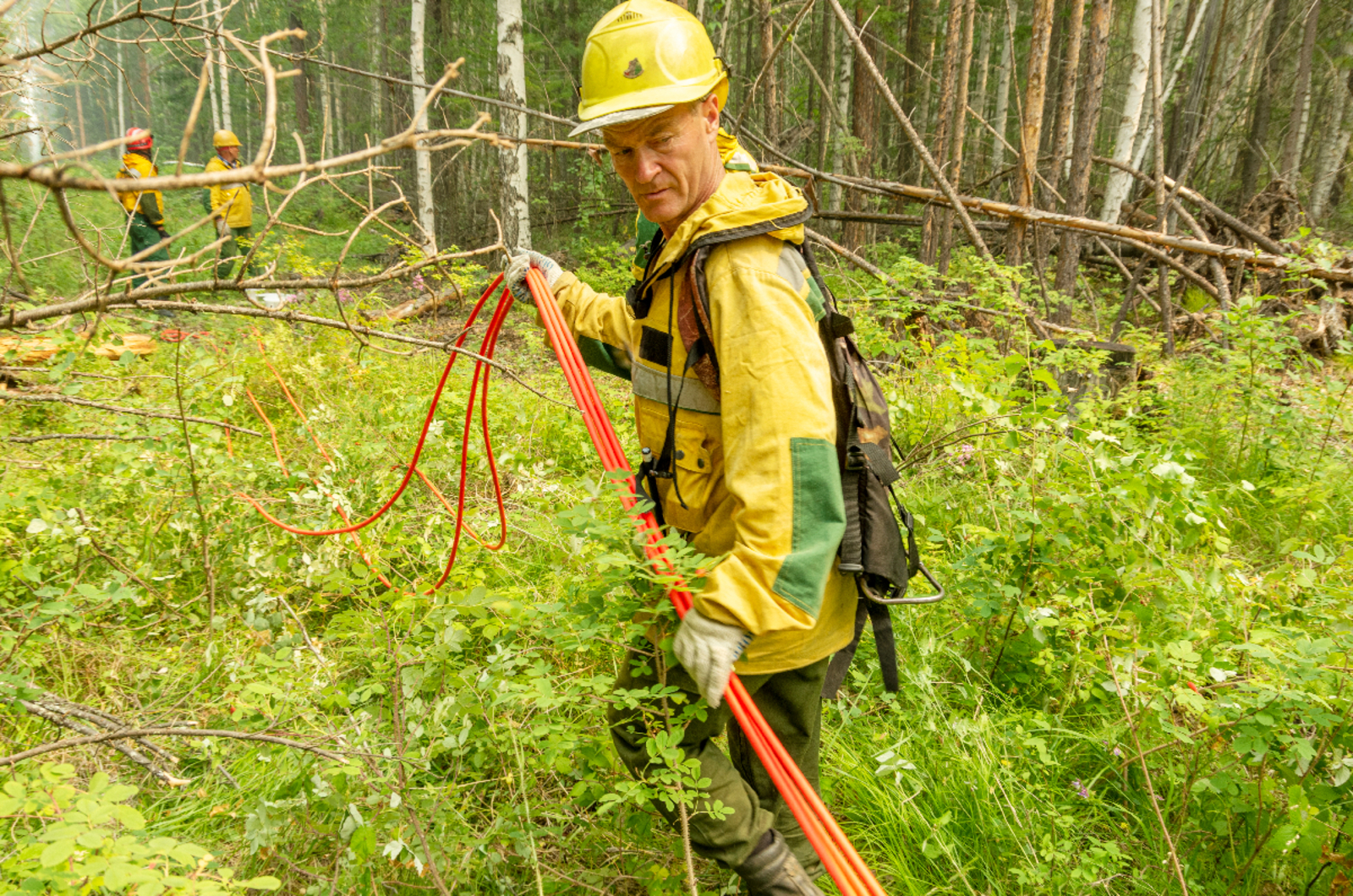 В России увеличат зарплаты специалистам, работающим в сфере охраны лесов