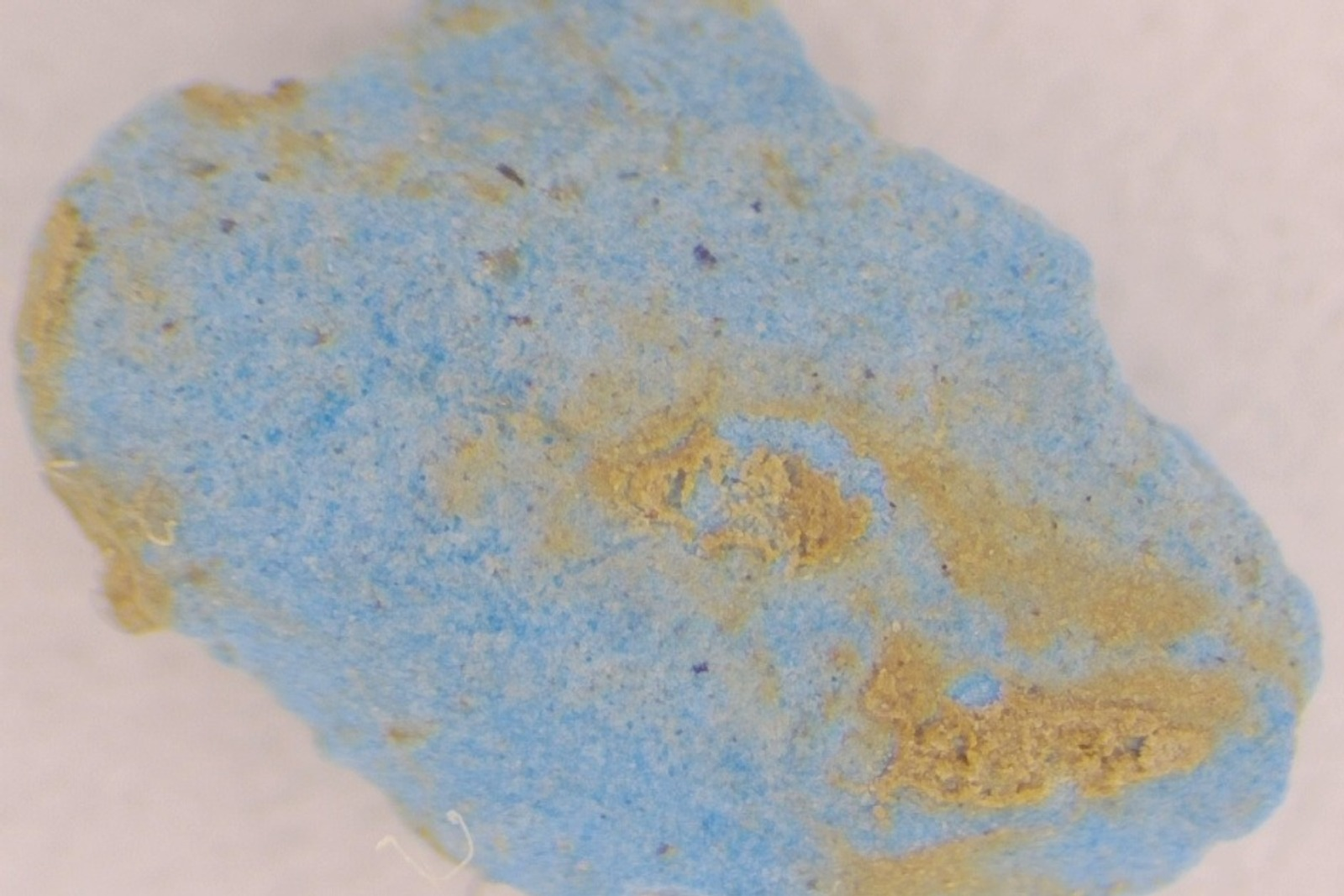 В пещере Шульган-Таш в Башкирии сделали сенсационное открытие