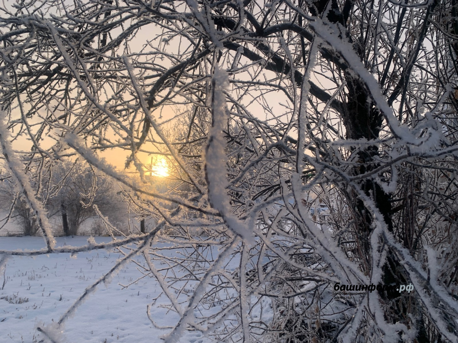 В Башкирии световой день в декабре будет длиться всего семь часов