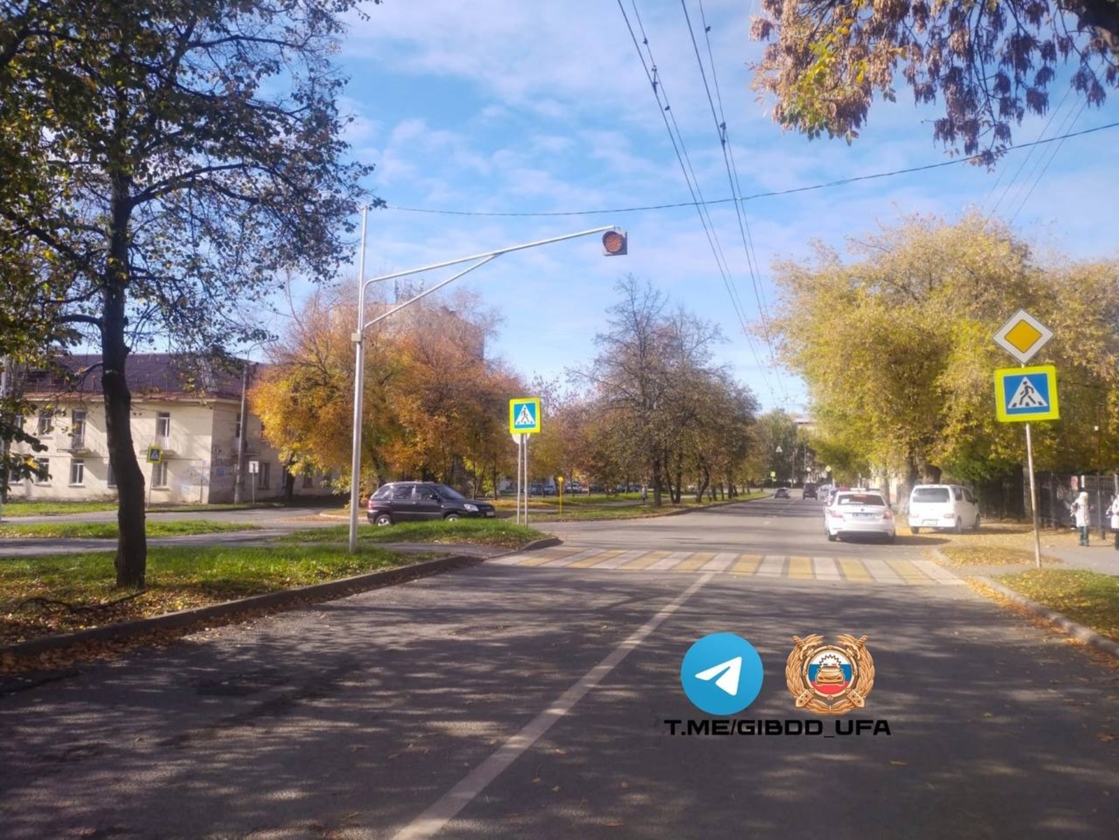 Полиция ищет водителя, бросившего на дороге сбитую им девочку