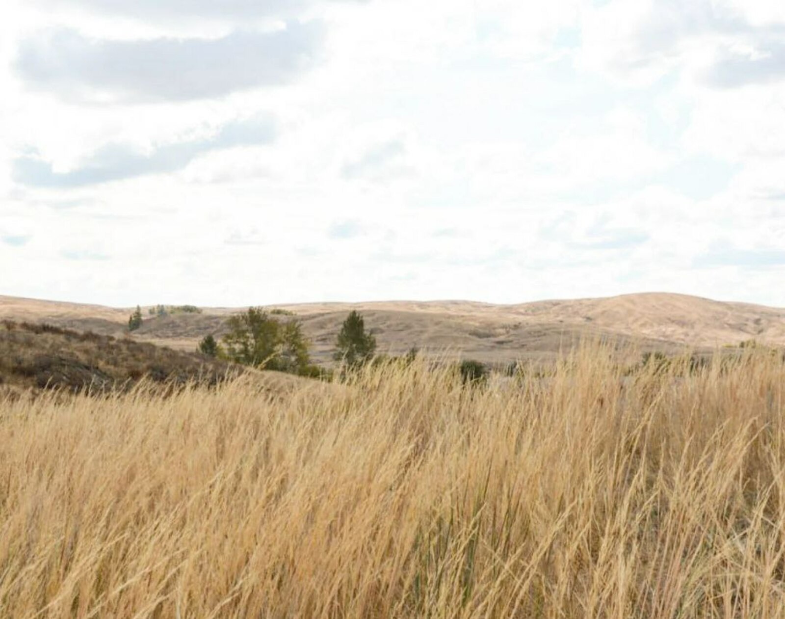 Родники в степи - оазисы чистой воды