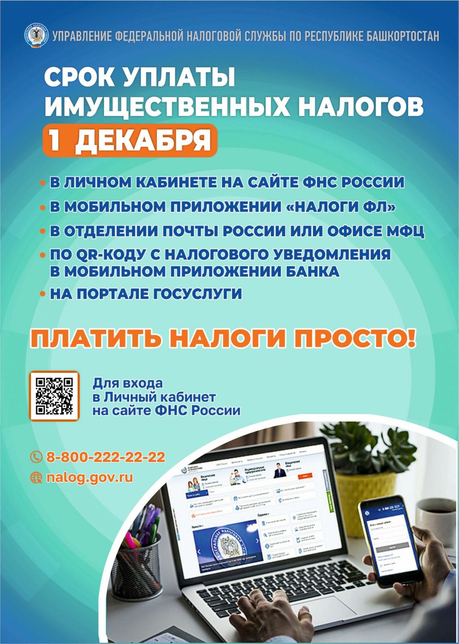 В этом году налоги нужно уплатить до 1 декабря