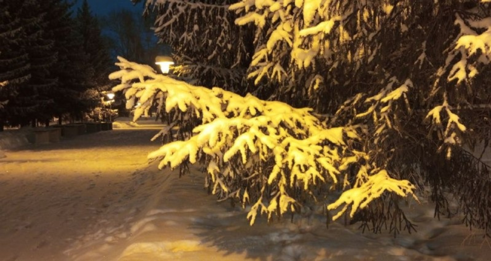 В Башкирии потерялись три человека