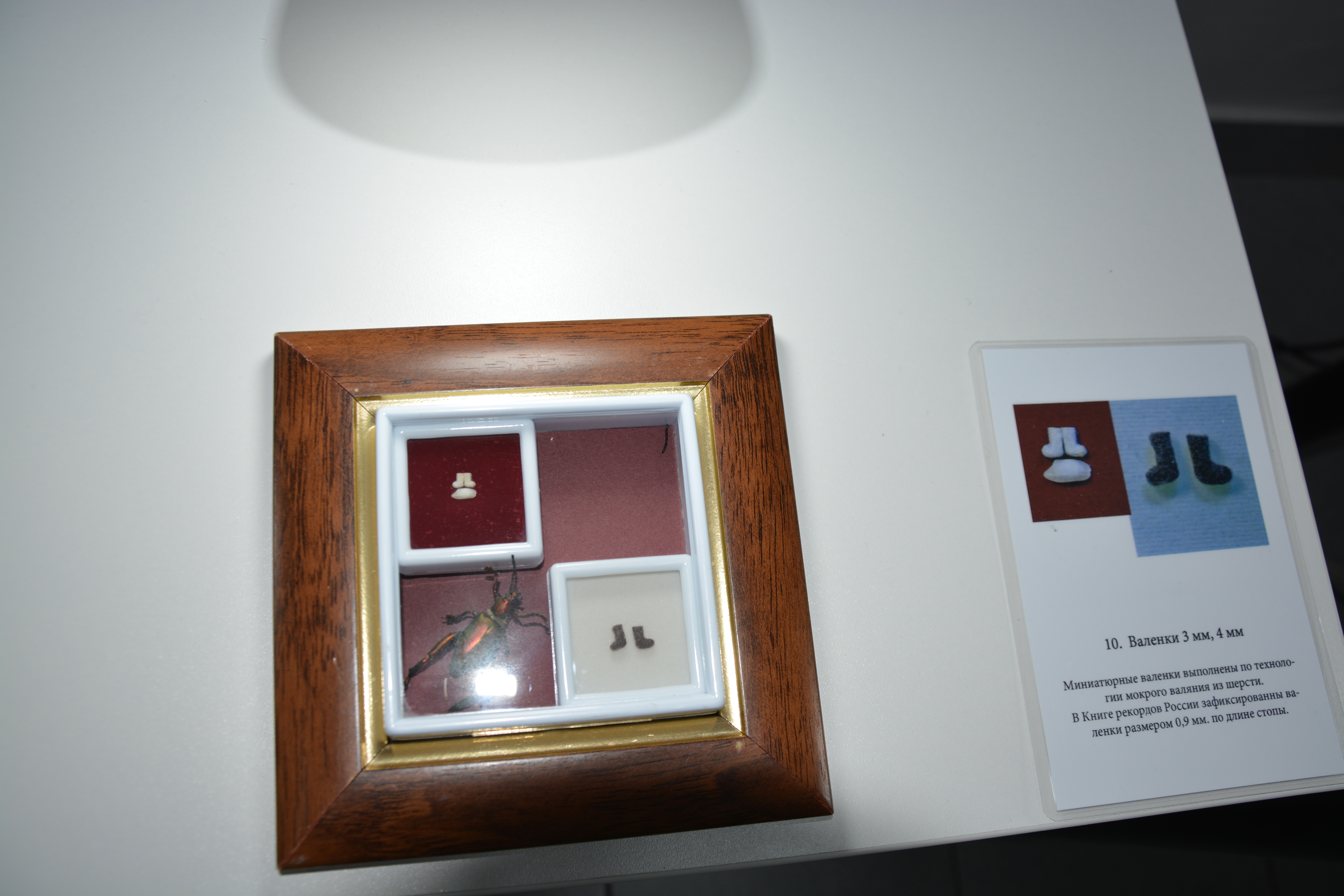 «Сибирский Левша», или Микромир Анатолия Коненко