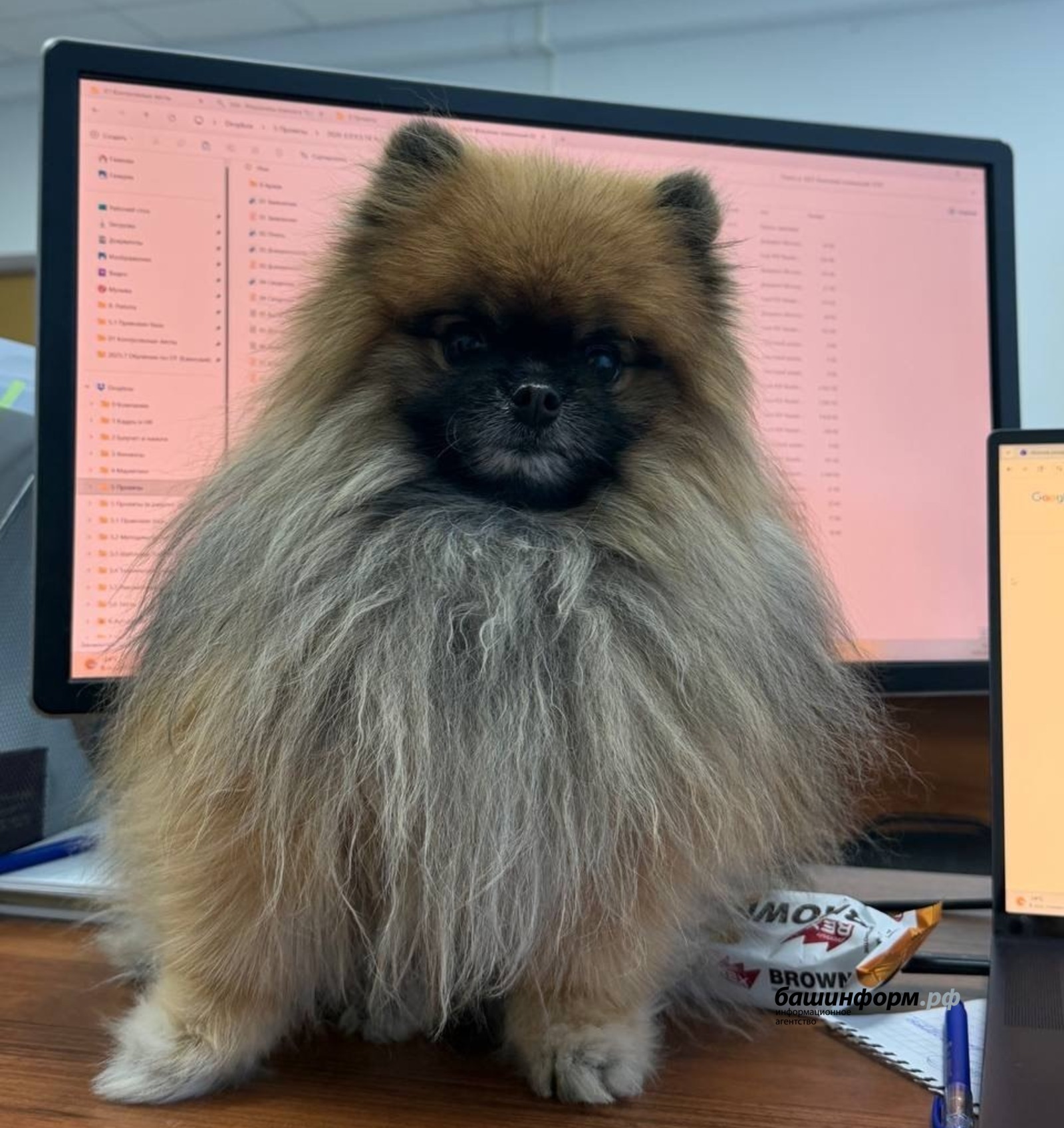 В России официально признали сотни новых профессий