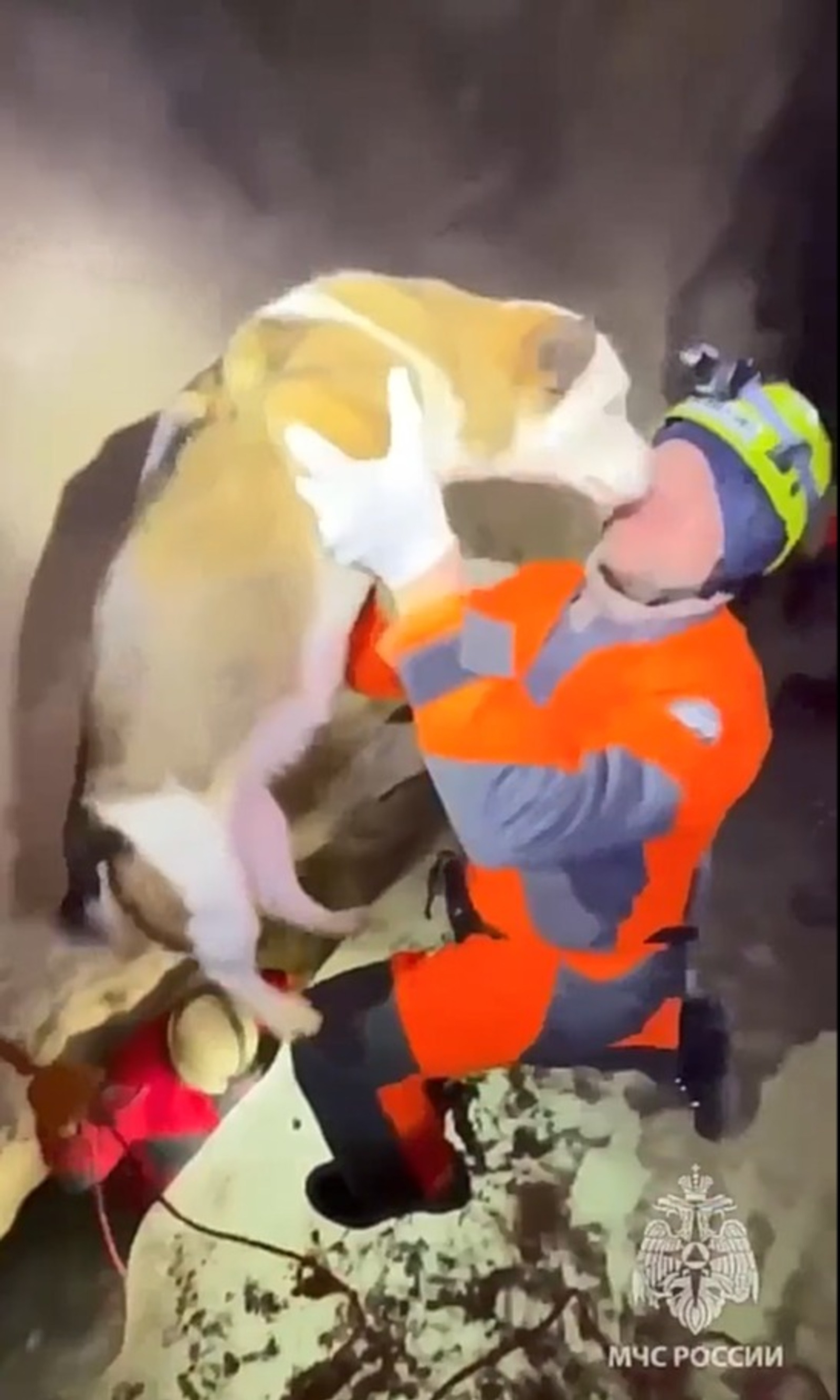 В Башкирии спасли собаку, упавшую в расщелину в Киндерлинской пещере