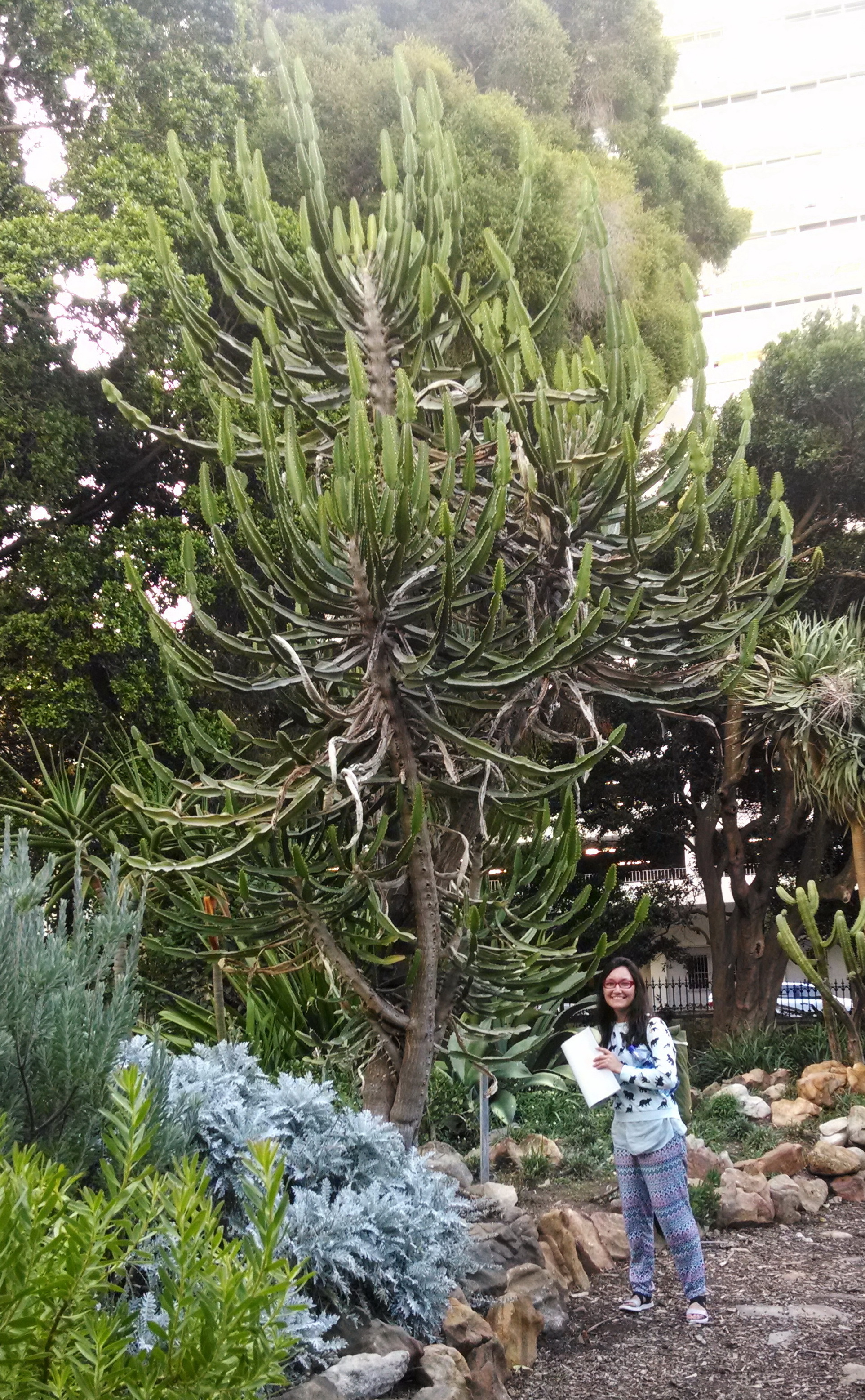 Океан, небо и Она…