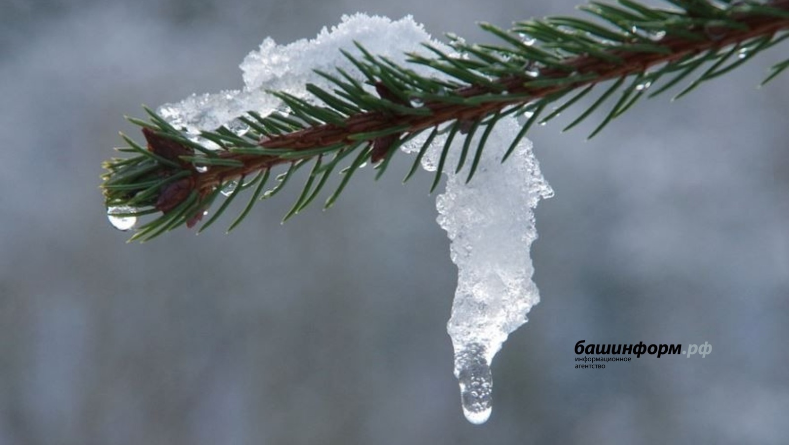 Синоптики рассказали, какой будет погода в марте в Башкирии
