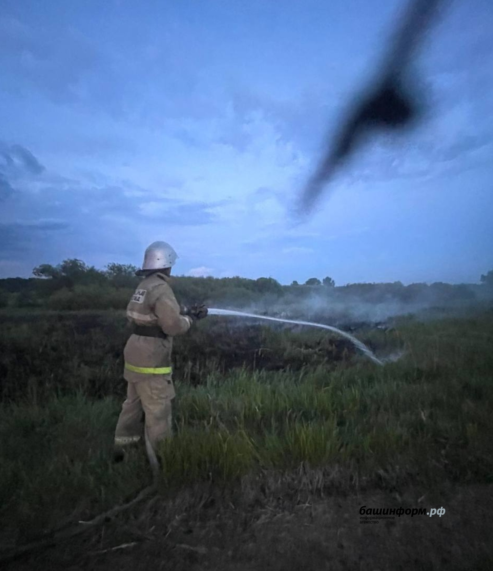 В Башкирии за два месяца произошло 10 лесных пожаров