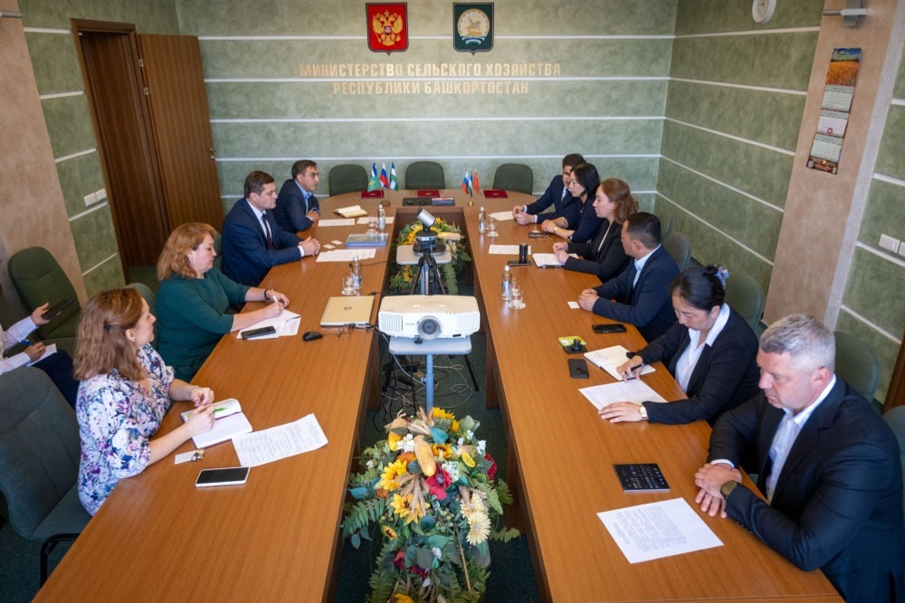 В Башкирии хотят построить российско-китайский маслозавод