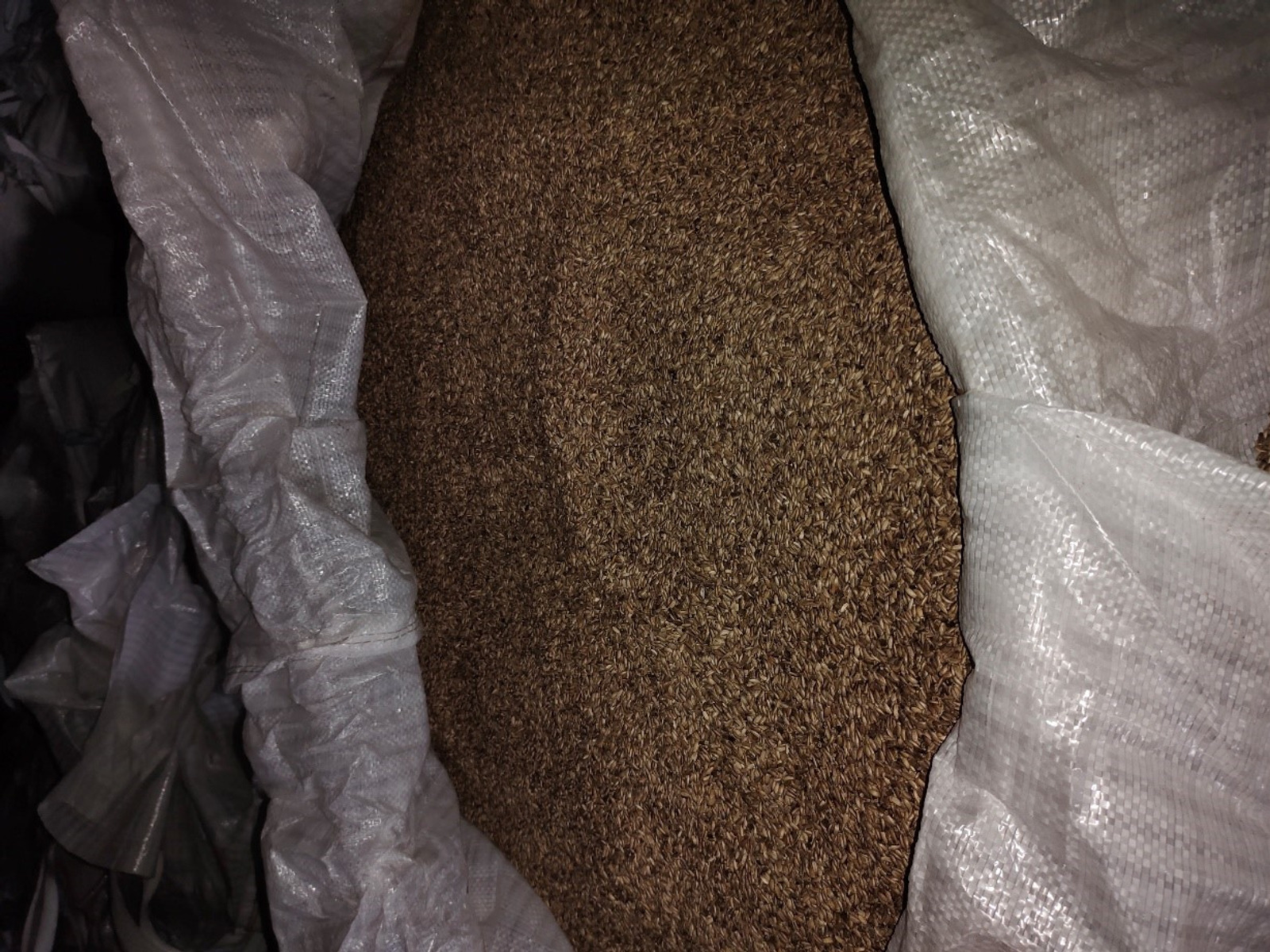 В 2025 году Башкирия отправила на экспорт 1,3 тысячи тонн семян