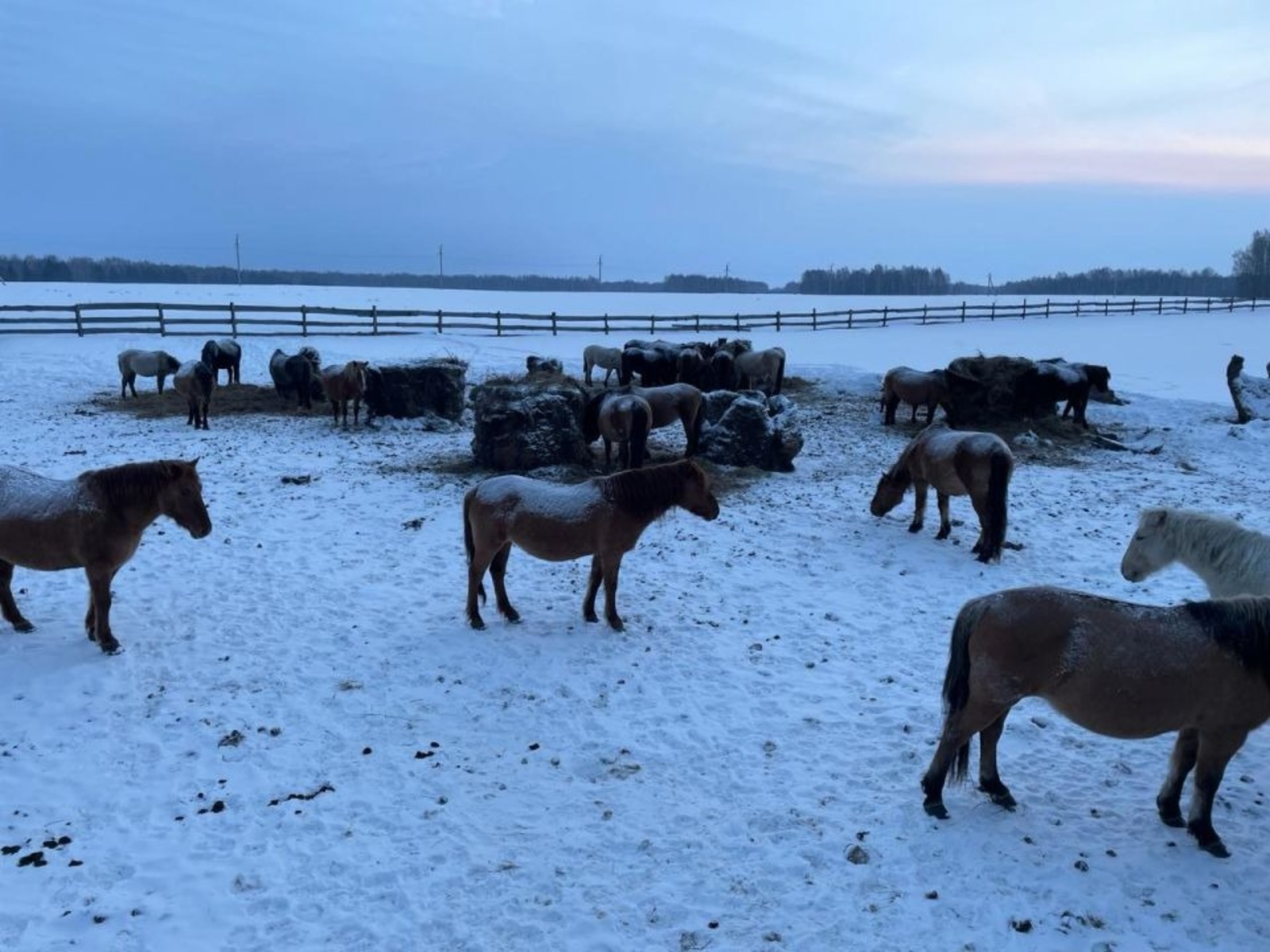 В Башкирии для фермеров предусмотрено более 400 млн рублей господдержки